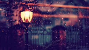 Enjoying The Breathtaking Winter Scenery. Wallpaper