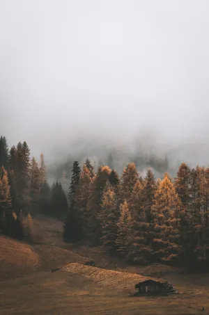 Enjoying The Cool Autumn Air In New England Wallpaper