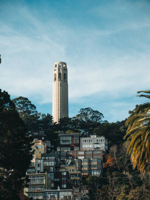 Enjoying The Sights Of San Francisco: Coit Tower With A Glorious Summer Backdrop Wallpaper