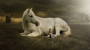 Enormous White Horse In Field Wallpaper
