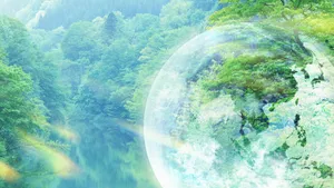 Environment Earth Forest Wallpaper