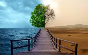 Environment Two Sides Sea And Desert Wallpaper