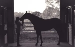 Equestrian_ Bonding_ Moment.jpg Wallpaper