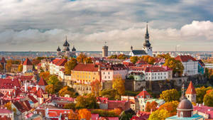 Estonia Elevated Wall City Wallpaper