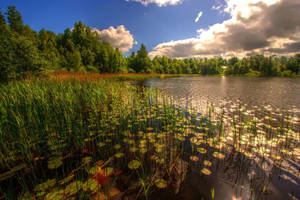 Estonia Lake Landscape Wallpaper