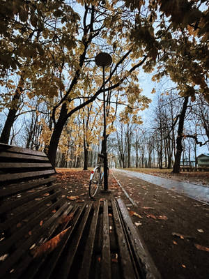 Estonia Park In Rainy Weather Wallpaper