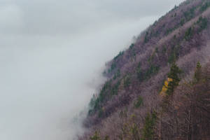 Ethereal Journey Through A Foggy Mountain Forest Wallpaper