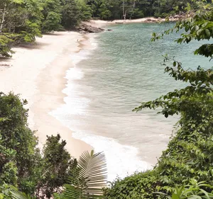 Exotic Beach Coast Wallpaper
