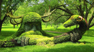 Exotic Botanical Garden In Montreal Wallpaper