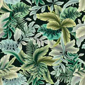 Exotic Green Aesthetic [wallpaper] Wallpaper