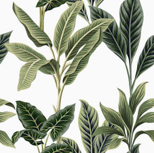 Exotic Minimalist Leaves [wallpaper] Wallpaper