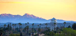 Experience A Tropical Paradise In Santa Ana, California! Wallpaper