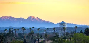 Experience A Tropical Paradise In Santa Ana, California! Wallpaper