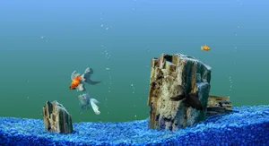 Experience The Beauty Of Underwater Life In Your Own Home With An Aquarium Fish Tank Wallpaper