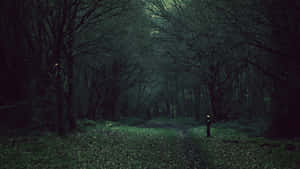 Explore The Anime Forest, Where Mysterious Tales Await Wallpaper