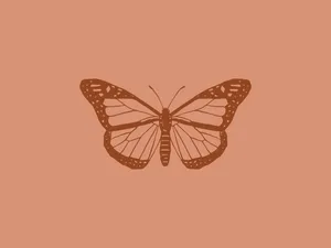 Explore The Butterfly Effect With Your Own Laptop Wallpaper