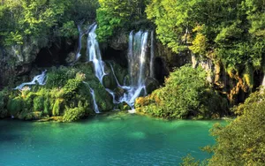 Explore The Lush Jungle With Jungle Desktop Wallpaper