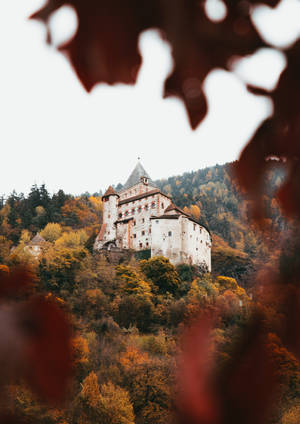 Explore The Serenity Of The Rolling Hills And Lush Forests Of This Medieval Castle. Wallpaper
