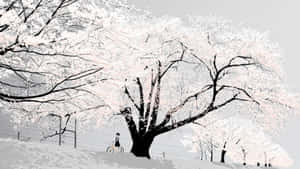 Explore The World Of Anime White Wallpaper