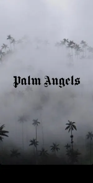 Express Yourself With Palm Angels Collections Of Street-style Inspired Clothing And Accessories Wallpaper