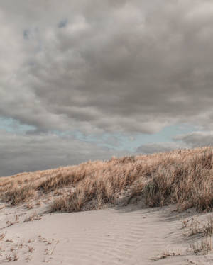 Exquisite Beach Seagrass With Cloudy Sky Wallpaper