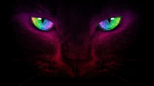 Extraordinary Rainbow Cat Eyes Wallpaper