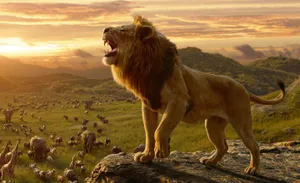 Extreme Roar Lion King Wallpaper