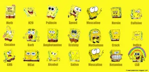 Face Reactions Of Spongebob Wallpaper