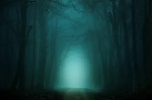 Fairy Grunge Gleaming Soft Light Wallpaper