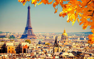 Fall In Love With The City Of Lights. Wallpaper