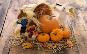 “fall Is A Great Time For Pumpkins!” Wallpaper