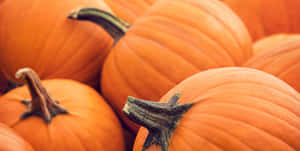 Fall Pumpkins - A Colorful Harvest Scene Wallpaper