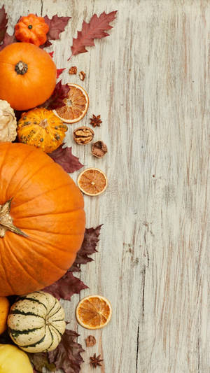 Fall Season Halloween Aesthetic Wallpaper
