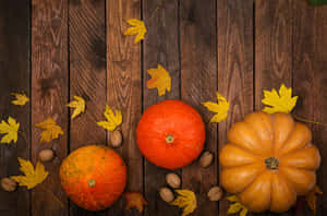 Fall Thanksgiving Three Pumpkins Wallpaper