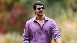 Famous Actor Prabhas Wallpaper