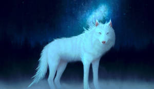 Fantasy White Wolf Art Wallpaper