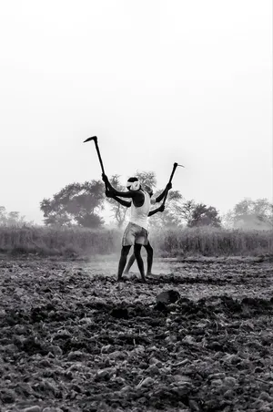 Farmer Raising Hoesin Field Wallpaper