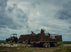 Farmer Rice Tractor Wallpaper