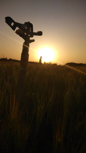 Farmer Sunset View Wallpaper