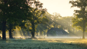 Farmhouse In A Foggy Forest Wallpaper