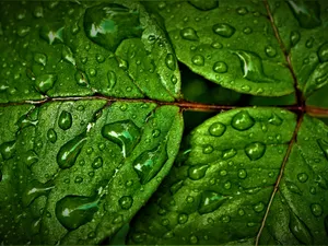 Feel The Chill Of The Pouring Rain Wallpaper