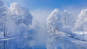 Feel The Magic Of Winter Awaiting Wallpaper