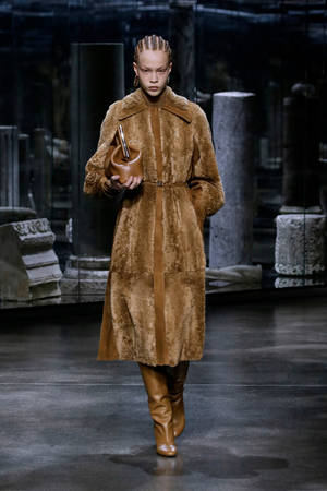 Fendi Brown Fur Dress Wallpaper