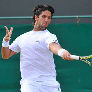 Fernando Verdasco With Adidas Wallpaper