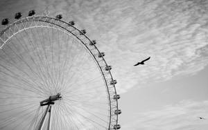 Ferris Wheel With Flying Bird Grayscale Wallpaper