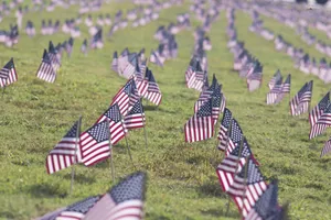 Field Of American Flags Wallpaper