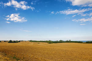 Field Sky Background Wallpaper