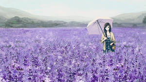 Fields Of Cute Purple Lavenders Wallpaper