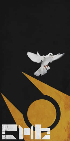 Fight Your Way To Victory In The World Of Half Life 2. Wallpaper