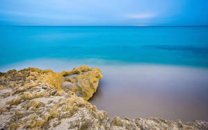 Fiji Mossy Rock On Beach Wallpaper